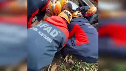 Feci kaza! Kestiği ağaç üzerine devrildi