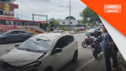 Penunggang motosikal maut dihempap pokok tumbang
