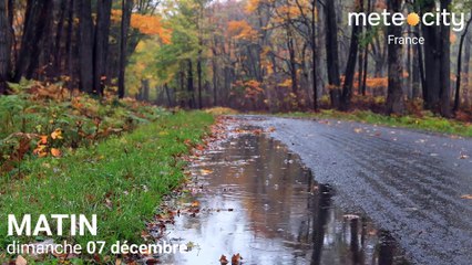 Bulletin météo France du dimanche 07 décembre 2025