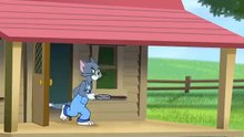 Tom Jerry