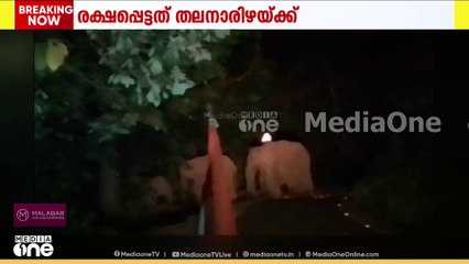 തൃശൂർ മലക്കപ്പാറ റോഡിൽ  കോൺ​ഗ്രസ് സ്ഥാനാർഥിക്ക്  നേരെ കാട്ടാന ആക്രമണം