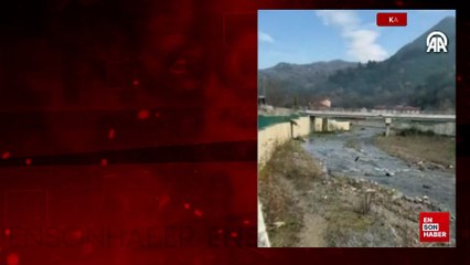 Türkiye'de nadir görülen kuş türlerinden kara leylek görüntülendi