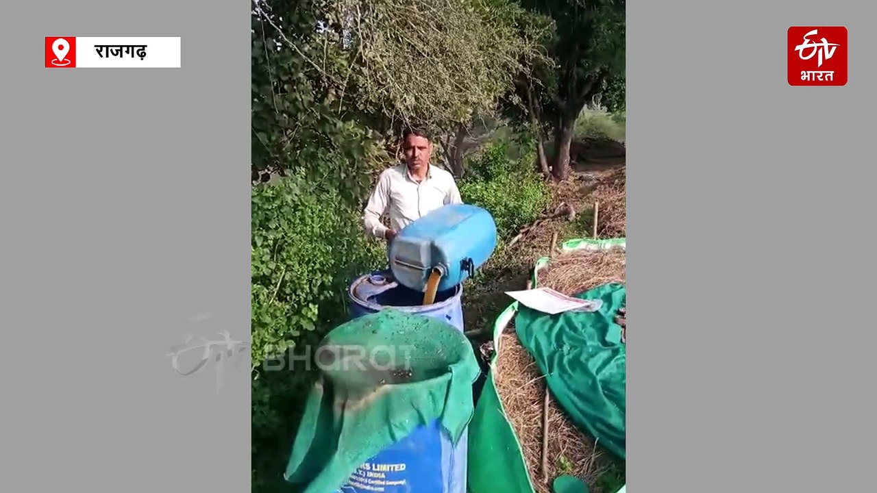 राजगढ़ में स्मार्ट खेती कर किसान कमा रहे डबल मुनाफा, खाद की लाइन से मिलेगी निजात