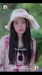 Vuelo Cambiado, Matrimonio Terminado Completo En Español