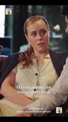 La esposa divorciada es una cirujana genial Completo En Español