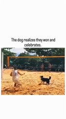 The dog realizes they won and celebrates. 🥺