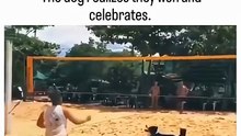 The dog realizes they won and celebrates. 🥺