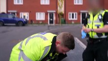 Traffic Cops S12E18 (Oct 30 2024)
