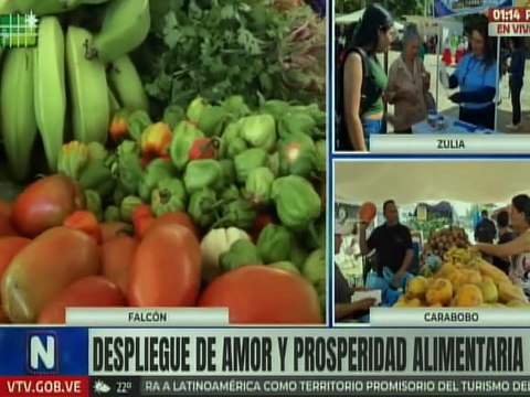 Despliegue Amor y Prosperidad Alimentaria beneficia a más de 2 mil 500 familias falconianas