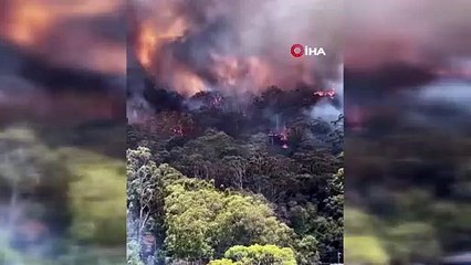 Avustralya'da orman yangınları - 16 ev küle döndü