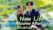A New Life Blooms After Divorce