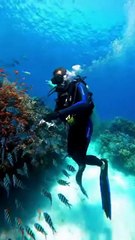 الغوص في أعماق المحيط