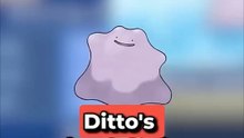 Dittos Face is STANGE
