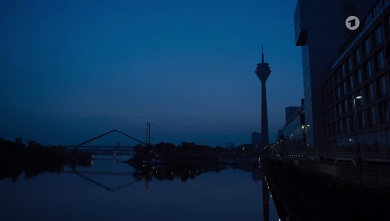 Die Füchsin -02- Spur auf der Halde