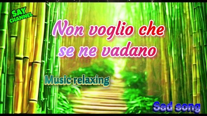 Non-voglio-che-se-ne-vadano