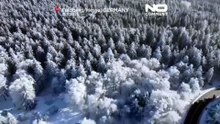 Kommt der Jahrhundertwinter? Experten sehen Chance auf arktische Kältewellen