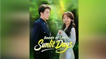 Seeds Of Love🤩Sunlit Days 🤩English Sub