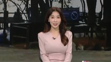[날씨] 포근한 '대설'...미세먼지 영향 공기 탁해요! / YTN