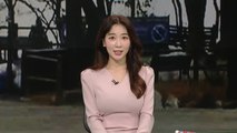 [날씨] 포근한 '대설'...미세먼지 영향 공기 탁해요! / YTN
