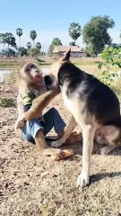 Awesome Video Best SokYaa, OG, Pao & Mom Are Famous Around The World #shorts #anime #trend #edit