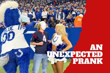 The Indianapolis Colts mascot pulls off a stunt that leaves fans stunned