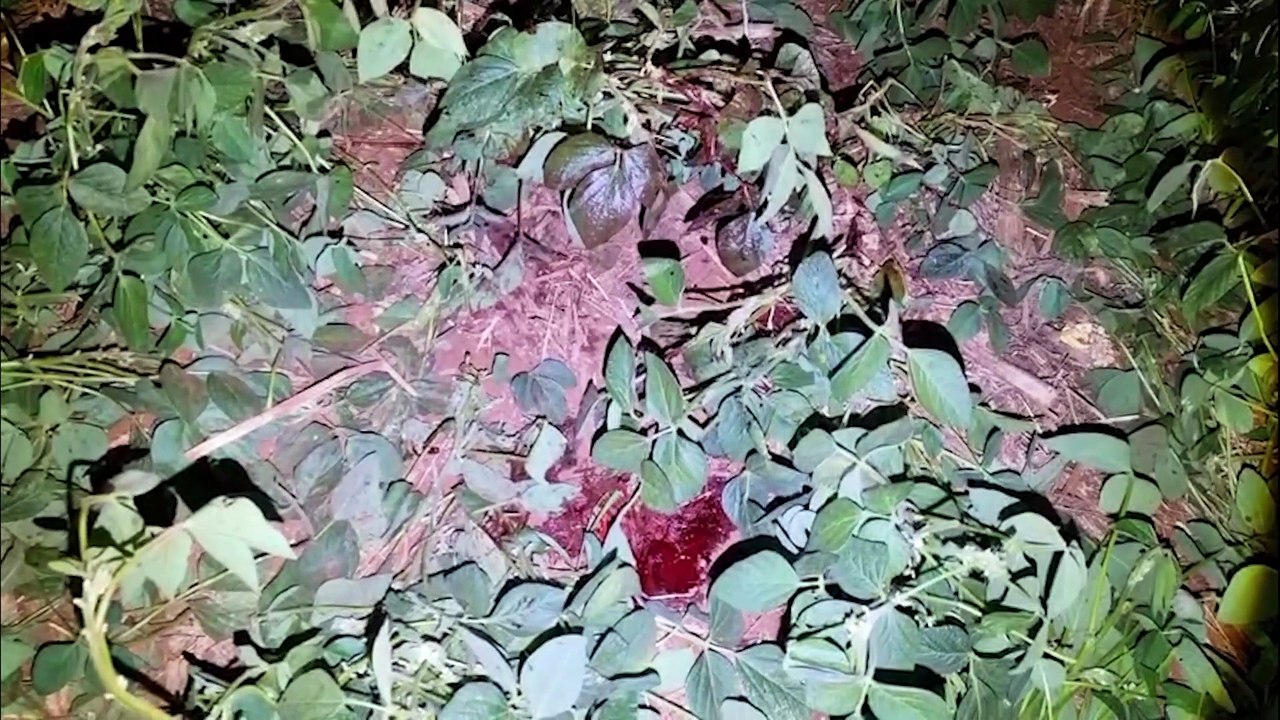 "Vítima apresentava quadro crítico com lesões graves, principalmente no crânio", afirma oficial sobre capotamento na BR-163