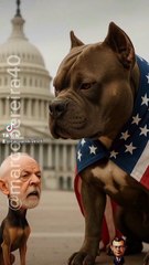 Eu Tentei Fazer a Coisa Certa, Mas a Internet Não Perdoou 😂 (Reação Hilária!)