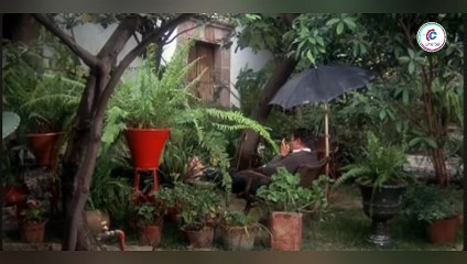 La viuda negra (1977) Mario Almada, Isela Vega y Sergio Jimenez.