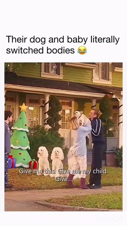 The dog 💀