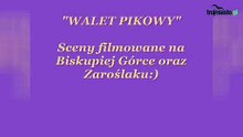 Walet Pikowy 1960