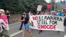 Protesters shut down Sea Cliff Bridge for a Wollongong Friends of Palestine rally