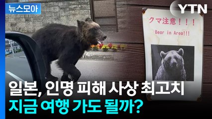 [뉴스모아] 일본, 곰 습격 인명 피해 사상 최고치… 지금 여행 가도 될까? / YTN