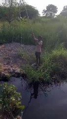 Catching fishes 👌👌 #shorts #viral #trending