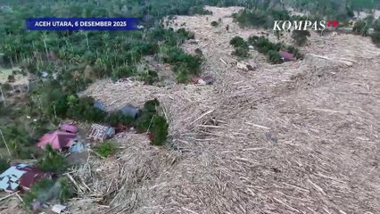 Penampakan Tumpukan Kayu Gelondongan Bertanda Khusus di Aceh Utara Pasca Banjir