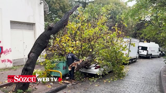 Beyoğlu’nda otomobilin üzerine devrilen ağaç kaldırıldı