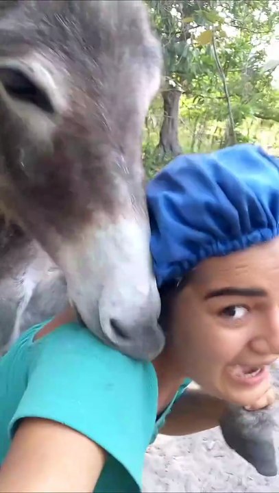 The Moment a Cute Donkey Tries to EAT My Shoulder! 🐴 | Hilarious Pet Interaction