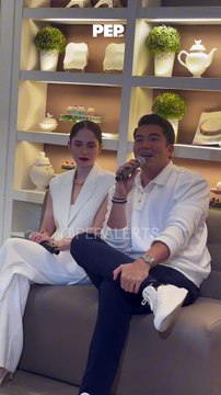 Luis Manzano officially moves on from politics | PEP