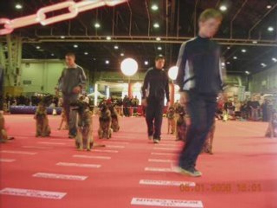 Le paris dog show