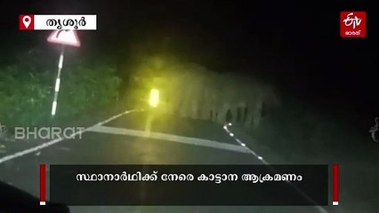 കാറിന് നേരെ പാഞ്ഞടുത്ത് കാട്ടാനക്കൂട്ടം; തലനാരിഴയ്ക്ക് രക്ഷപ്പെട്ട് സ്ഥാനാര്‍ഥി