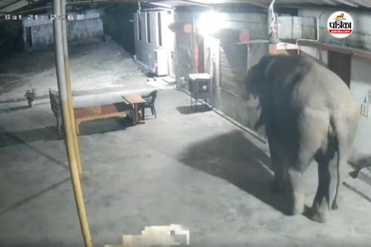 CG Video Viral: अब जंगल छोड़ मंदिर में घुसा हाथी, CCTV में कैद हुई पूरी घटना, देखें Video