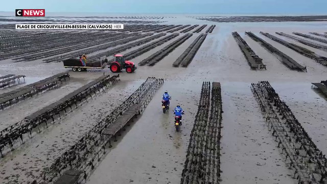 Noël : les huîtres victimes de braquage