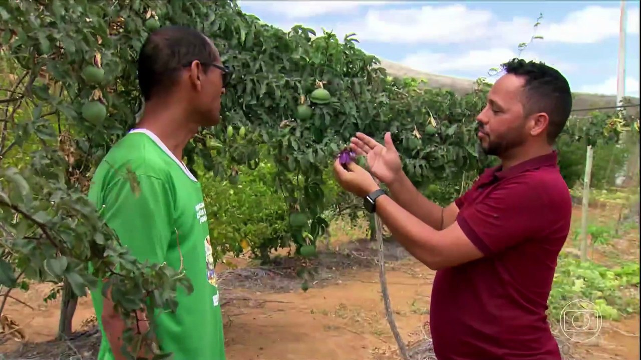 Globo Rural - Destaques do programa 07/12/2025