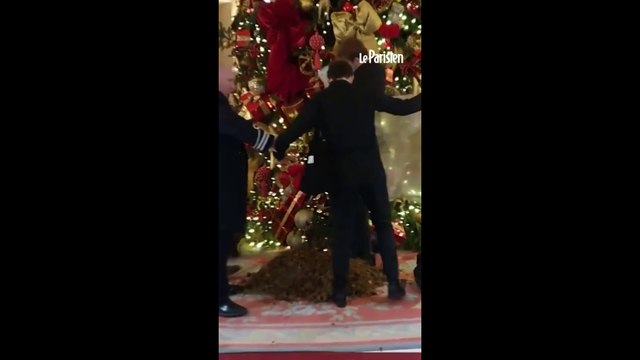 Londres : du fumier déversé sous le sapin de Noël de l'hôtel Ritz