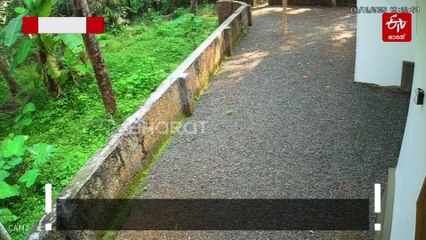 മലപ്പുറത്ത് നാല് വയസുകാരിക്ക് നേരെ പാഞ്ഞടുത്ത് നായ, രക്ഷപ്പെട്ടത് അത്ഭുതകരമായി