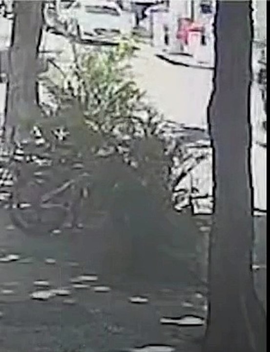 Vídeo mostra idosa ser atropelada em Icaraí; motorista não tinha habilitação