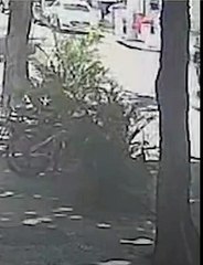 Vídeo mostra idosa ser atropelada em Icaraí; motorista não tinha habilitação