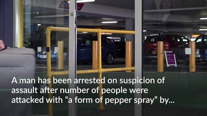 Man arrested after multiple people ‘pepper sprayed’ in Heathrow Airport car park