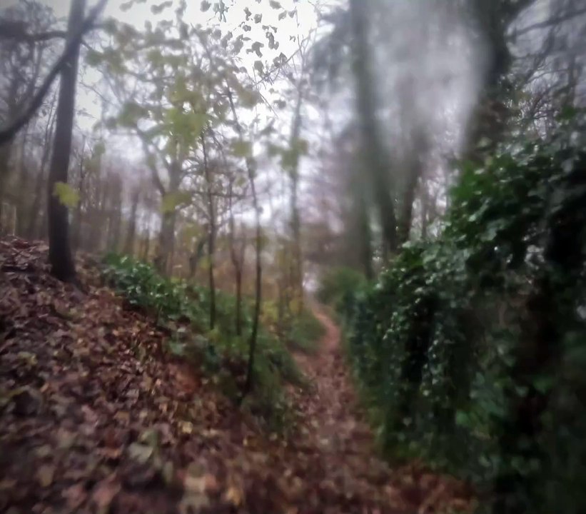 Vidéo Vtt 55 km de VTT sous une petite pluie avec Willy 😅