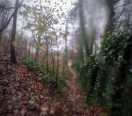 Vidéo Vtt 55 km de VTT sous une petite pluie avec Willy 😅