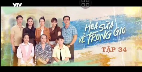 Hoa Sữa Về Trong Gió - tập 34 - HP Media